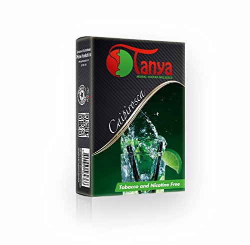 Zebra Smoke Series: 11" 2 Hose Pumpkin Hookah Complete Set- Combo Kit Set W/ Instant Charcoal And Hookah Mouth Tips (Red) #TOP3