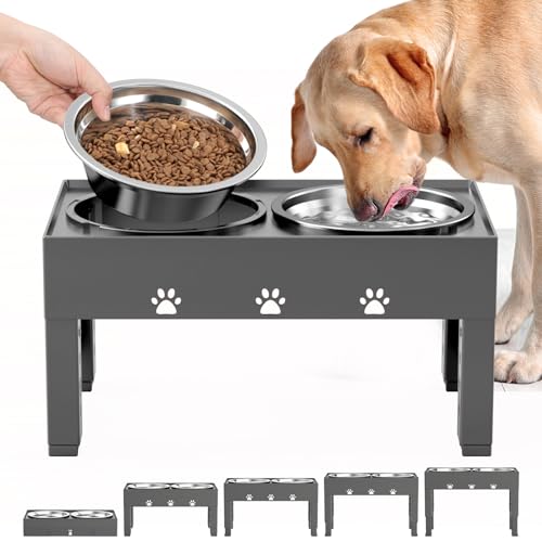 10 MustHave Dog Food Stations for Busy Pet Owners Your Ultimate