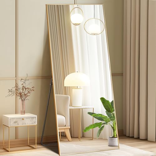 DUMOS Full Length Mirror with Stand 64"x21" Floor Standing Aluminum