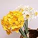 DNIEBW 12 Pcs Artificial Daffodils Flowers 15.7 Artificial Narcissus Flower Silk Fake Flowers Wedding Floral Decor Bouquet for Home Party Wedding Office Store Decor