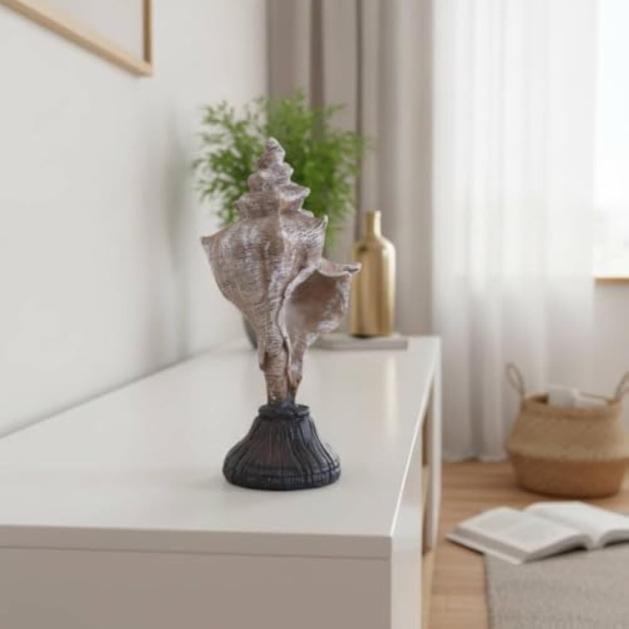 Craft Shells, Decorative Natural Shells for Home Décor