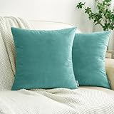 HWY 50 Juego de 2 fundas de cojín decorativas color turquesa verde azulado de 22 x 22 pulgadas para sofá, de terciopelo suave y acogedor