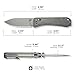 WeKnife Bougie Banter Folding Pocket Knife for EDC, Crossbar Lock Folding Knife with 2.91
