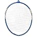 DOACT Badminton Racket, Lightweight Training Racket with Iron Alloy Frame Firm Grip for Sports Practice (Blue)