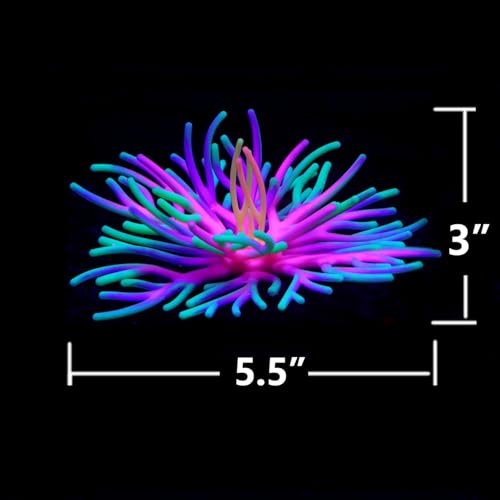 Image of Silicone Fish Tank Accessories Decorations, Aquarium Decor Ornaments for Betta Fish