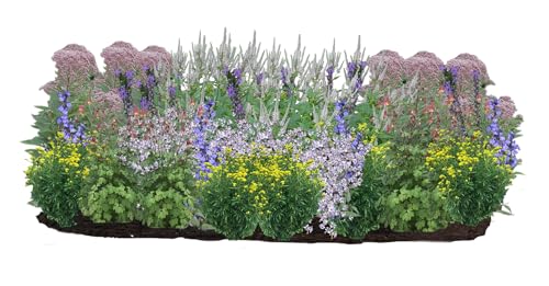 Can cats smell mice through walls