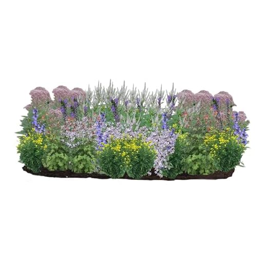 Shade-Tolerant Outdoor Live Plant Collection