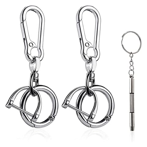 DAYGOS Universal Car Keychain for Men, Detachable Key Chain with Horseshoe Shape D-Ring and Quick Release Spring Key Rings, Metal Carabiner Clips for Keys (2Pack/Silver) Cover