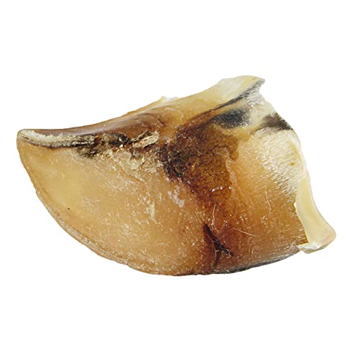 Schecker 25 Stück Rinderhufe - Kalbshufe - fettarm - sauber - ideal für die Zahnpflege – Ansicht 2