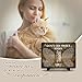 SOL VIBES Personalized Pet Memorial Stone for Cat, Don't Cry Sweet Mama Stone, Changing Colorful Background to Paint Loving Memory, Rectangle Shaped Garden Décor Indoor, Outdoor