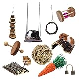 GGpone 10-teilige Set Hamster-Kau-Spielzeug Holz Rattenspielzeug Kleiner Tier Langeweile Breakers Hamster Ball Schwung für Rattenkäfigzubehör
