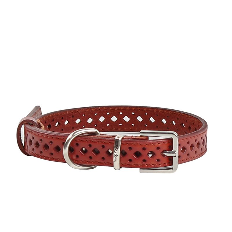 Are Leather Collars Better For Dogs? Expert Views on Dog Collar Choices 3 Adjustable Leather Dog Collar for Small Dogs – Soft, Breathable C...