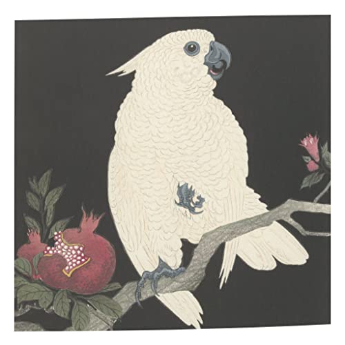 Estampe japonaise de perroquet pour salon zen et tropical