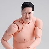 S H.Figuarts ¤È¤Ë¤«¤¯ÌÀ¤ë¤¤°Â¼