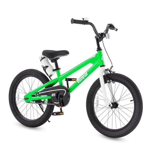 Royalbaby Kids Bikes 12" 14" 16" 18" Available, BMX Freestyle Bikes, Boys Bikes, Girls Bikes, Best Gifts for Kids. (Green, 18 inch)