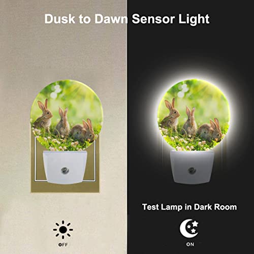 Image of Easter Bunny Nightlight Cute Rabbits in Meadow Plug-in Nightlight Energy Saving 0.5W LED Lighting for Boys Girls Men Women Gift