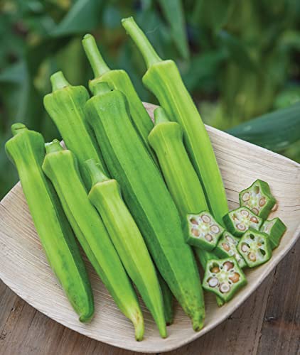 Burpee Baby Bubba Okra Seeds 60 Seeds #TOP4