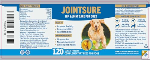 Comprimés JOINTSURE pour aider les chiens âgés à monter l'escalier - 12