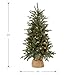 National Tree Company Pre-lit Artificial Mini Christmas Tree | Includes Small Lights and Cloth Bag Base | for Tabletop or Desk | Burlap-4 ft, 4', Green