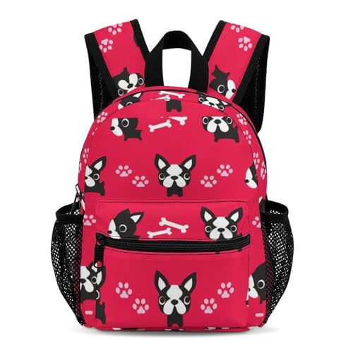 [LSTRQHQVL] bN LbY  pO uhbO bNTbN hZ obNpbN   y j̎q ̎q ʊw ʉ