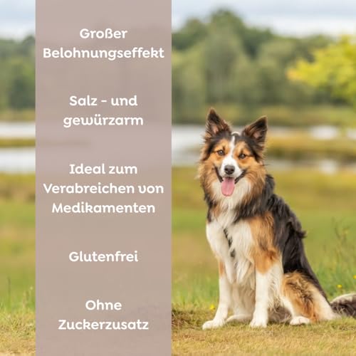 TRIXIE Hundeleckerli PREMIO Hunde-Leberwurst 110g - Premium Leckerlis für Hunde glutenfrei - ohne Getreide & Zucker, schmackhafte Belohnung für Training & Zuhause - 3176