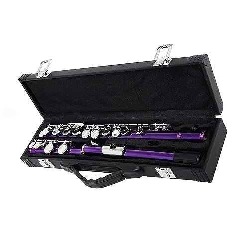 t[g p[v 16  C g[t[g E L[؊ǊyN[YhL[ t[gy