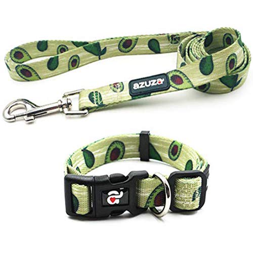 azuza Dog Collar and Leash Set, Fun Avocado Patterns on Nylon Collar and Matching Leash, Great Option for Medium Dogs