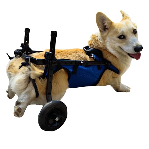KAJILE Carrozzine per Cani Pieghevoli Blu, Misura M