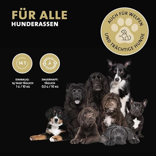 Wurm-Mix Pulver für Hunde – sekundierend zur Wurmkur – unterstützt ein wurmfeindliches Darmmilieu – mit CORVITALIS® Funktionskomplex – pflanzlich geprägtes Ergänzungsfuttermittel, kein Anthelminthikum