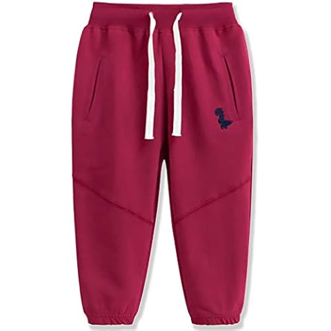 Toddler Boys Jogger Pants 2T Dinosaur Sweatpants Boys Cotton Drawstring Elastic Waist 2T Jogger Pants for Boys Drak Red Dinosaur 2T Cover