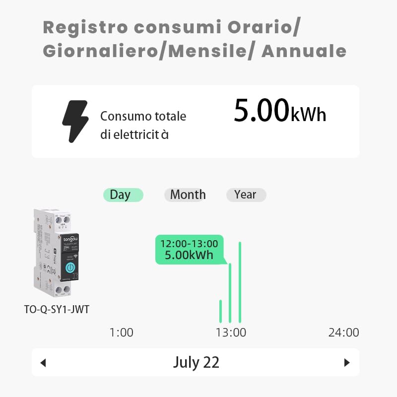 Energy consumption log showing hourly, daily, monthly, and annual data