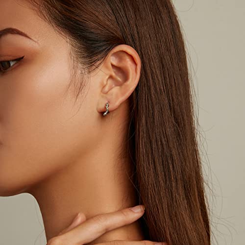 Punk Snake Sleeper Small Hoop Earrings 925 Sterling Silver Cool Animal Green Crystal Cz Eye Cartilage Tragus Earring Round Huggie Hoops 10Mm Statement Earring Studs Fashion Jewelry Gifts For Women Girls Hypoallergenic #TOP2