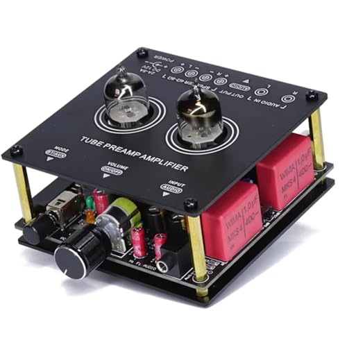 Lonrtesw Amplificador de Potencia HiFi A Válvulas 6N51, Bluetooth 5.3, Chip STA540, Salida de 38 W, Amplificador Doméstico.