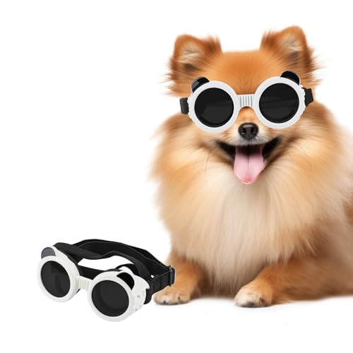 ���p�S�[�O���A���^���p�T���O���X�A���������̖ڂ�ی�A���O�h�����������p�T���O���X�A�o���h�����\�A�h���C�u�T�C�N�������ɓK�p,�z���C�g