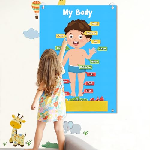 AKAYOK 36 Pcs Body Parts for Kids Felt Board for Toddlers Preschool Learning Activities Interactive Human Body for Kids Human Organ Educational Toys for 2 Year Old Felt Wall Activities for Toddlers