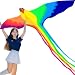 HENGDA KITE-Strong Phoenix with Long Colorful Tail!Huge Beginner Phoenix Kites for Kids and Adults 74-Inch Come with String and Handle