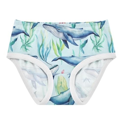 Joisal Toddlers Underwear Floral 2t Cotton Cute Panties Girl Stylish Briefs Undies Kids Blue Whales Cartoon