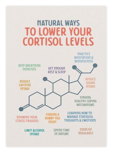 Stress Response Poster Hormonal Balance Education