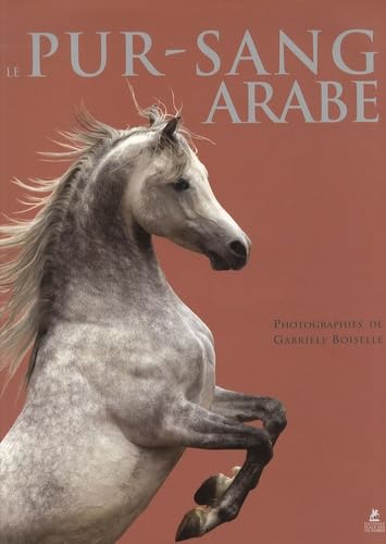 Le Pur-Sang arabe : statue équestre de collection pour salon