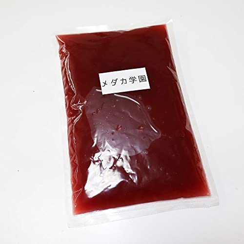 【メダカ学園】自家培養 光合成細菌(PSB)1000ml 水質浄化栄養細菌 培養エサ付【培養用の酵母10錠付】 (1000ml)