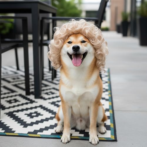 Peluca rubia para perros pequeña Elastic Bands miniatura 6