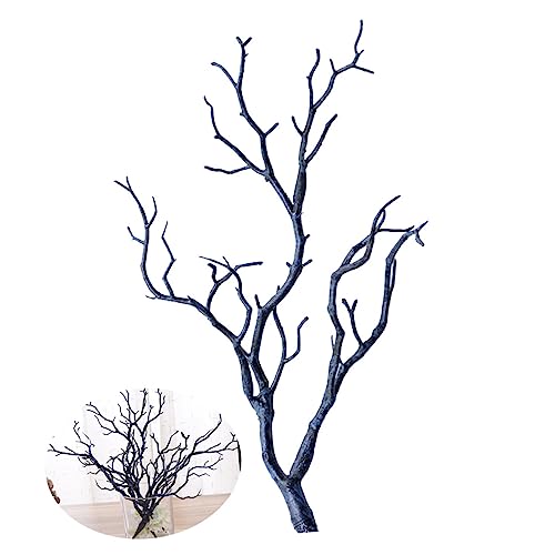 Levemolo wAJt 3 tFCN A lߕ {w~A EFfBO  tFCN  }  } Z^[s[X      }   _[N  [h