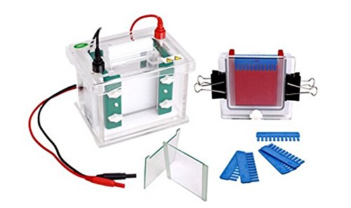 Gowe Horizontal Elektrophorese Tank DNA nukleinsäure-Reinigung und Vorbereitung Glasplatte Größe: 100 * 100 mm