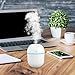 S SMAUTOP Mini umidificatori Portatili, 220ML Cool Mist Umidificatore ad ultrasuoni Aroma Essential Air Vaporizzatore Diffusore USB Mist Mist Maker