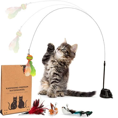KASPARINO Katzenangel stabil - Katzenspielzeug Angel mit Federn, Vogel & Saugnapf - Selbstbeschäftigung - Langlebige Katzen inkl. Katzenminze - interaktives Set