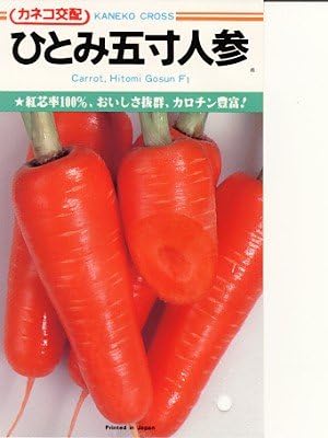 Amazon Co Jp Hitomi 5 9 Inch 5 Cm Carrot Seed Of Kaneko Home Kitchen