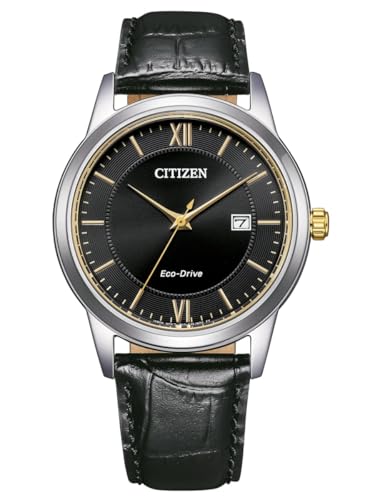 Citizen Eco Drive AW1784 16E   Reloj Solar para Hombre con Correa de Piel de cocodrilo, Color Plateado y Negro, Correa
