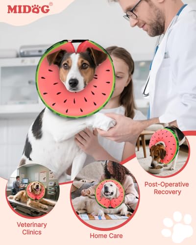 Image of MIDOG Inflatable Dog Cone, Soft Donut Recovery Collar, Red, Small