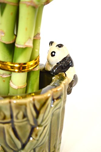 9Greenbox B001SI04VI Lucky Bamboo - Ceramic Panda Vase thumb #2