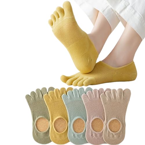 Ech.Apr 5{w\bNX fB[X 5F5Zbg ܖ{w C X|[c\bNX p ʋChL ^ lGʗp K \bNX Lk  \bNX (JP, TCY, 22.0 cm, 25.0 cm, M[, V[g,